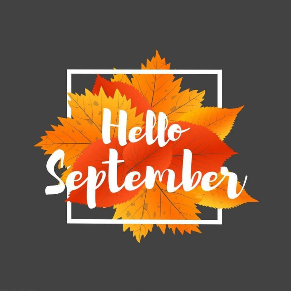 Hello September Greeting With Animated Autumn Leaves Background