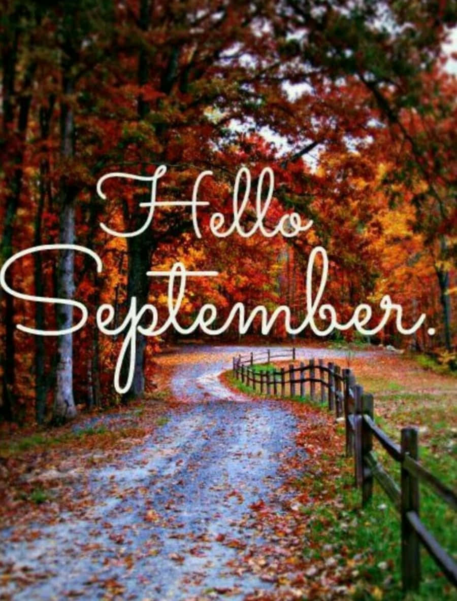 Hello September Greeting With Autumn Leaves On Road Background