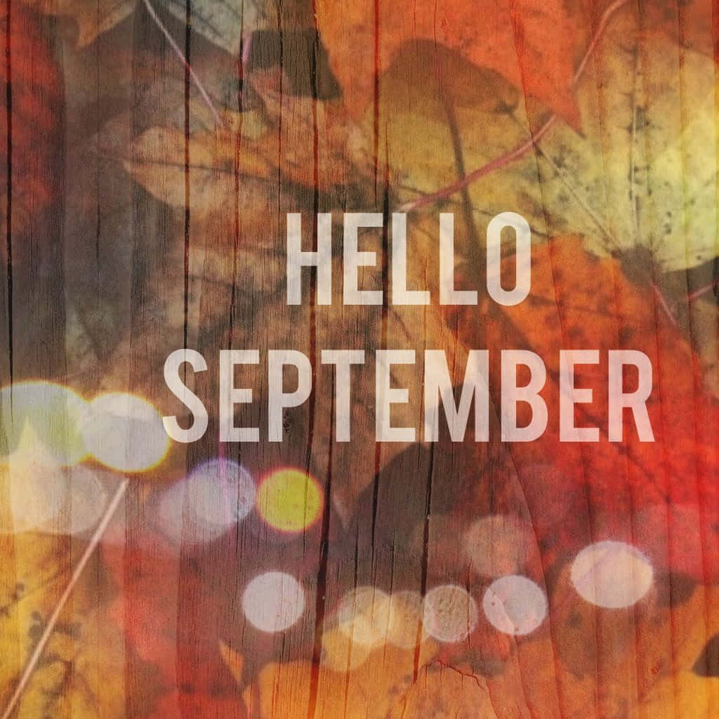 Hello September Greeting With Transparent Autumn Leaves Background