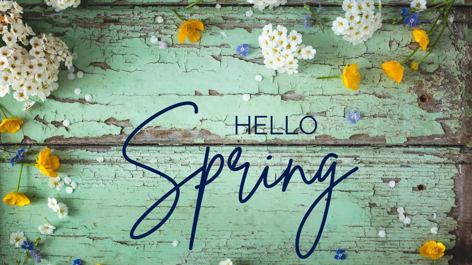 Hello Spring Floral Backdrop Background