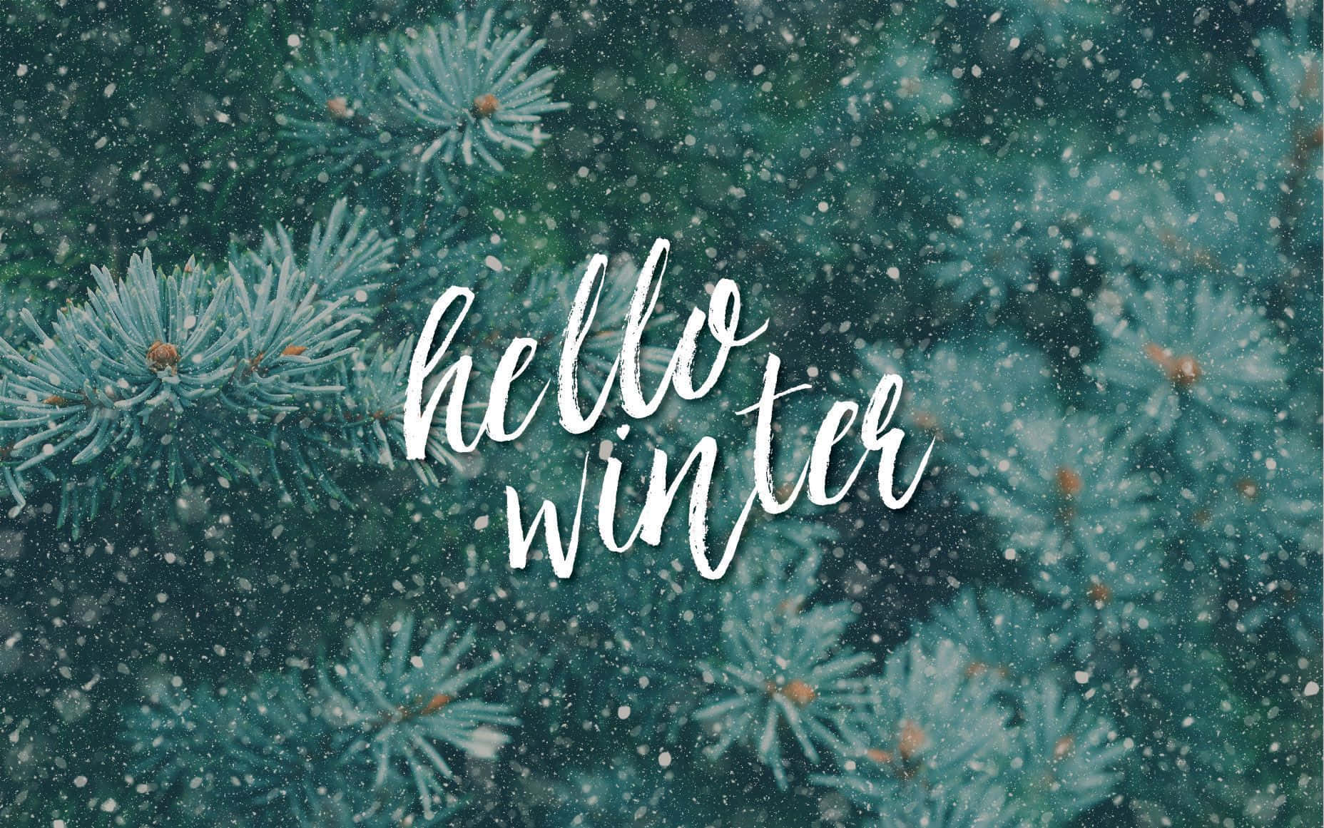 Hello Winter Wallpaper Background