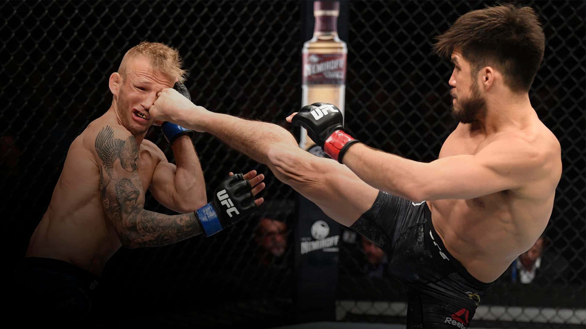 Henry Cejudo Versus Tj Dillashaw Ufc Fight Night 2019 Background