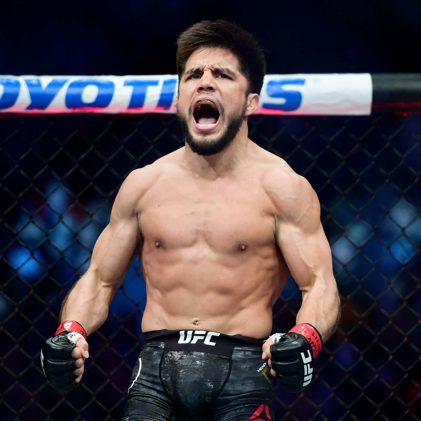 Henry Cejudo Winning Ufc Flyweight Title 2019 Background