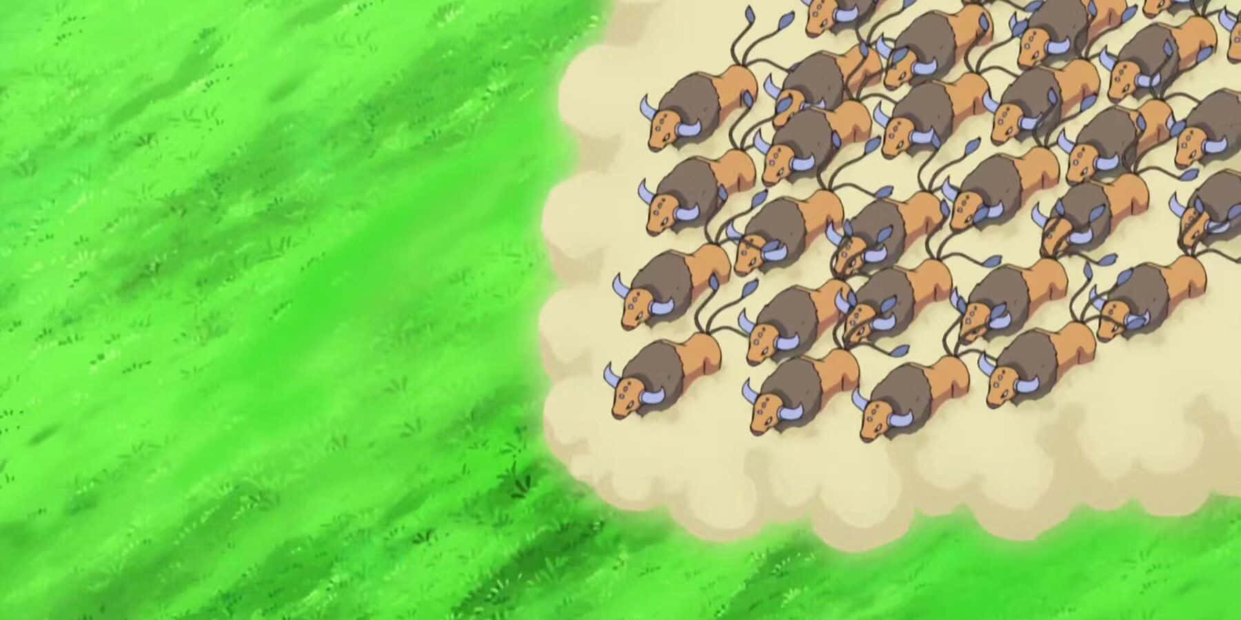 Herd Of Tauros Background