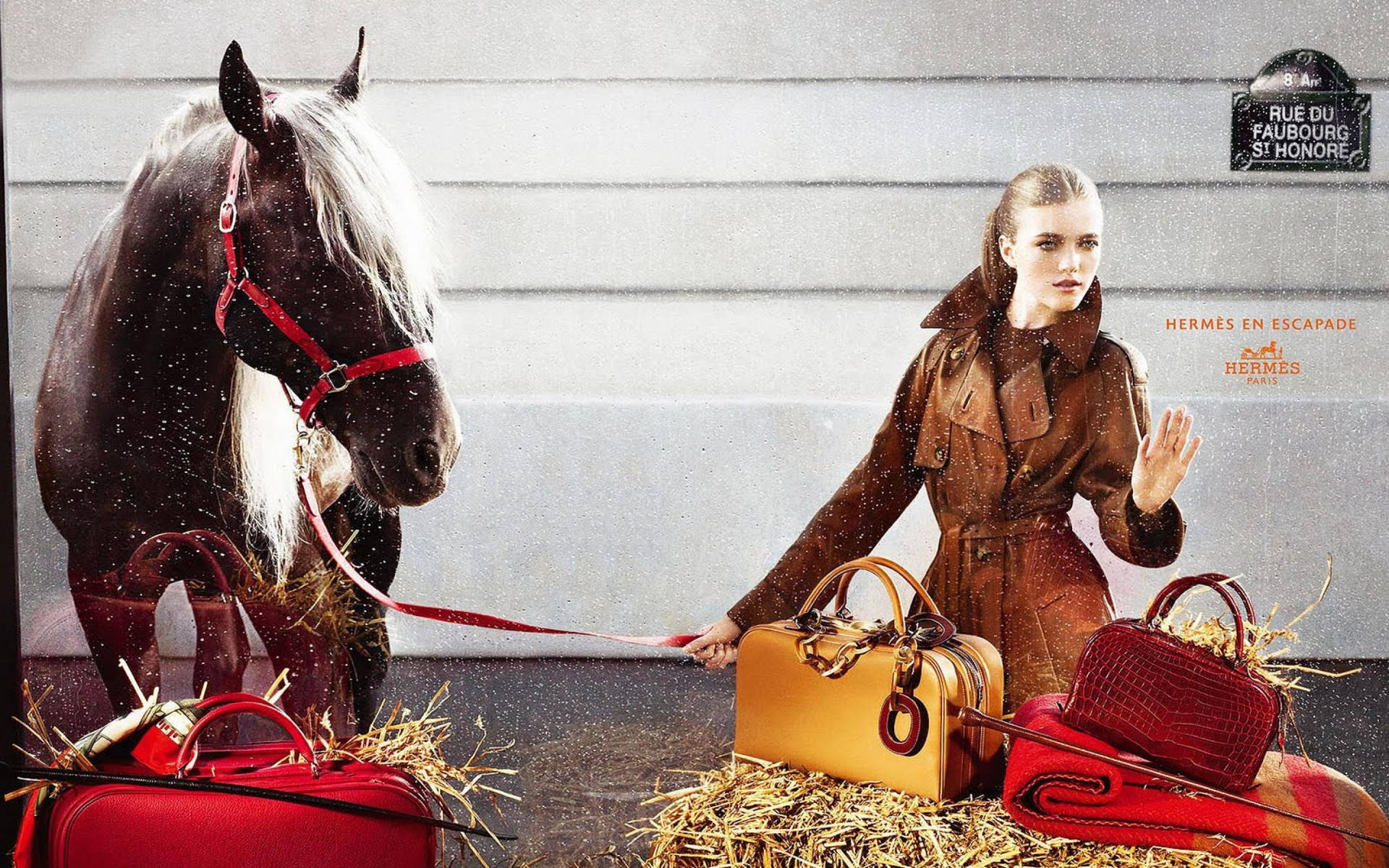 Hermes Horse And Model