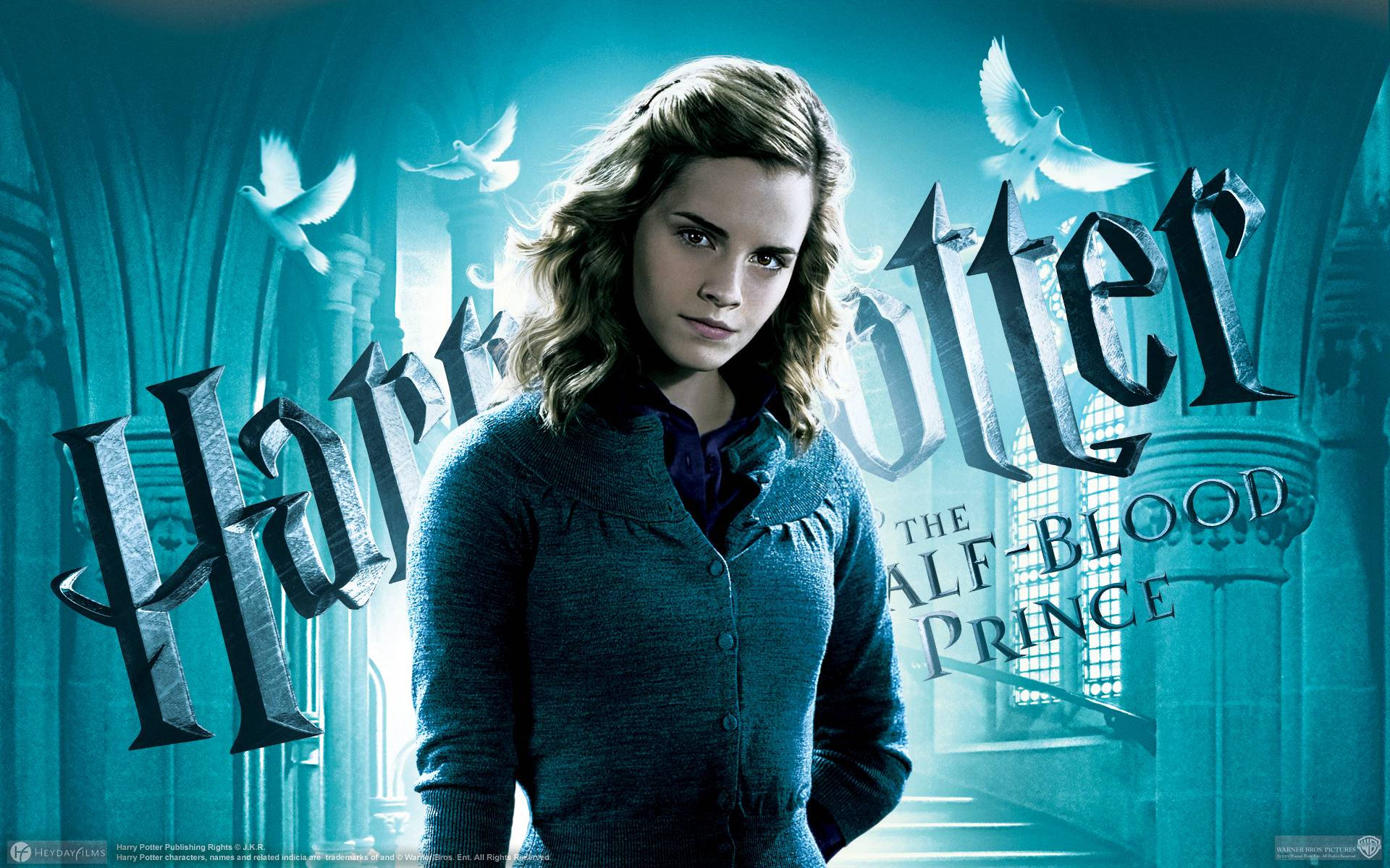 Hermione Granger Harry Potter Ipad Background