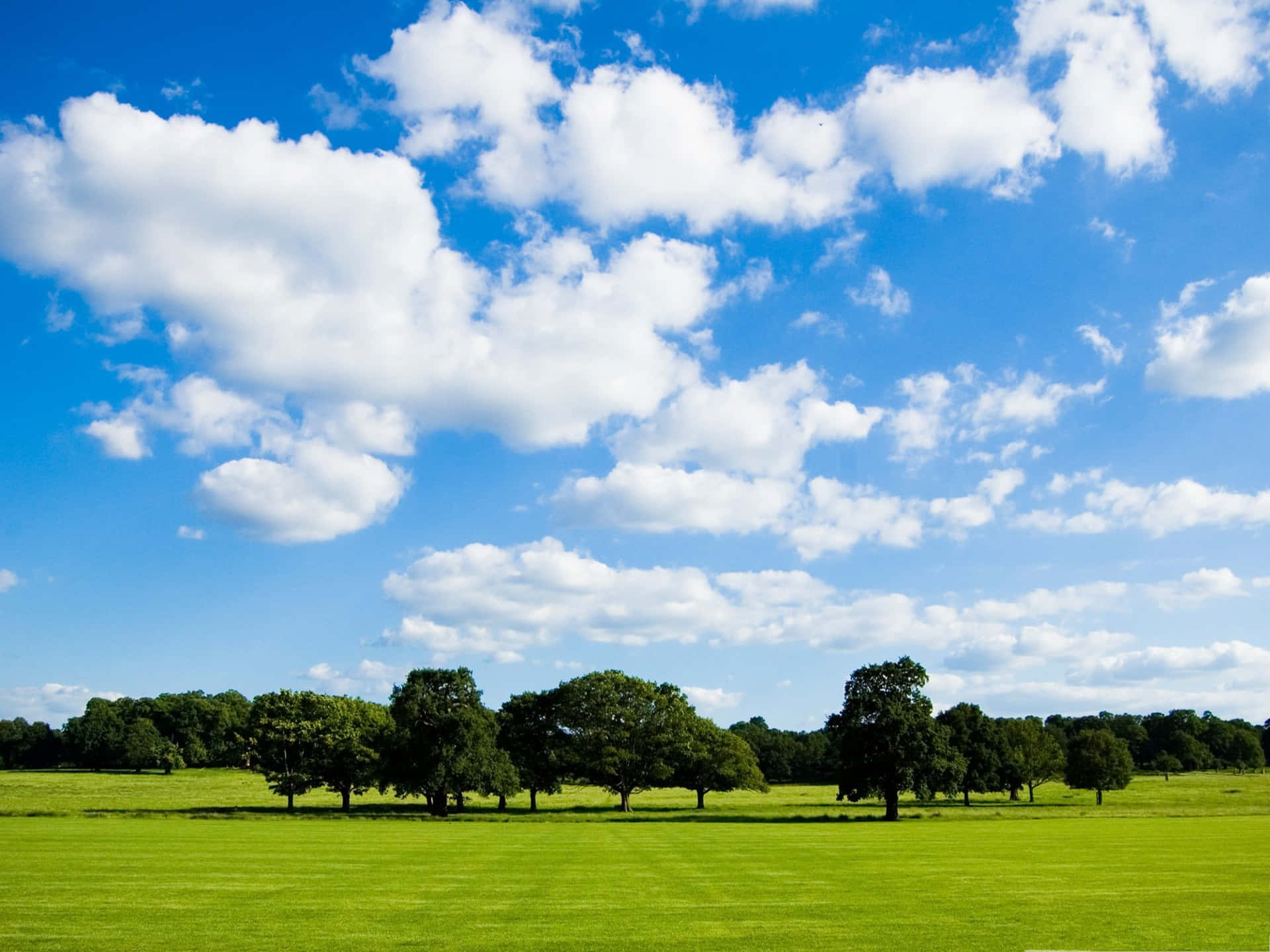 Hi Res Sky On Vivid Pasture Field