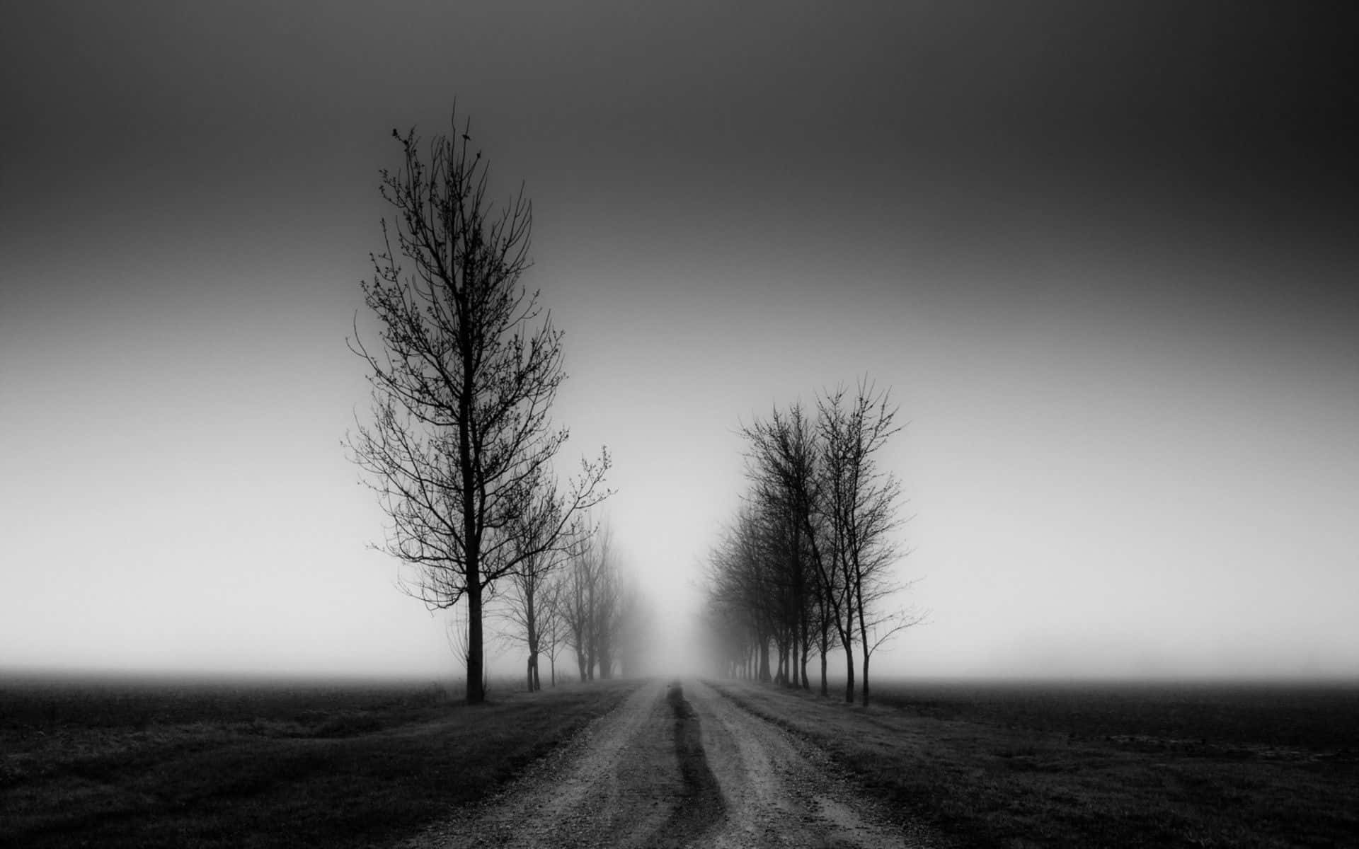 Hi-tech Black & White Pc Background