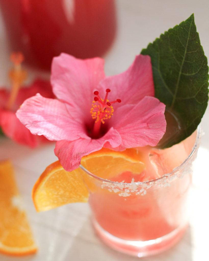 Hibiscus On Cocktail