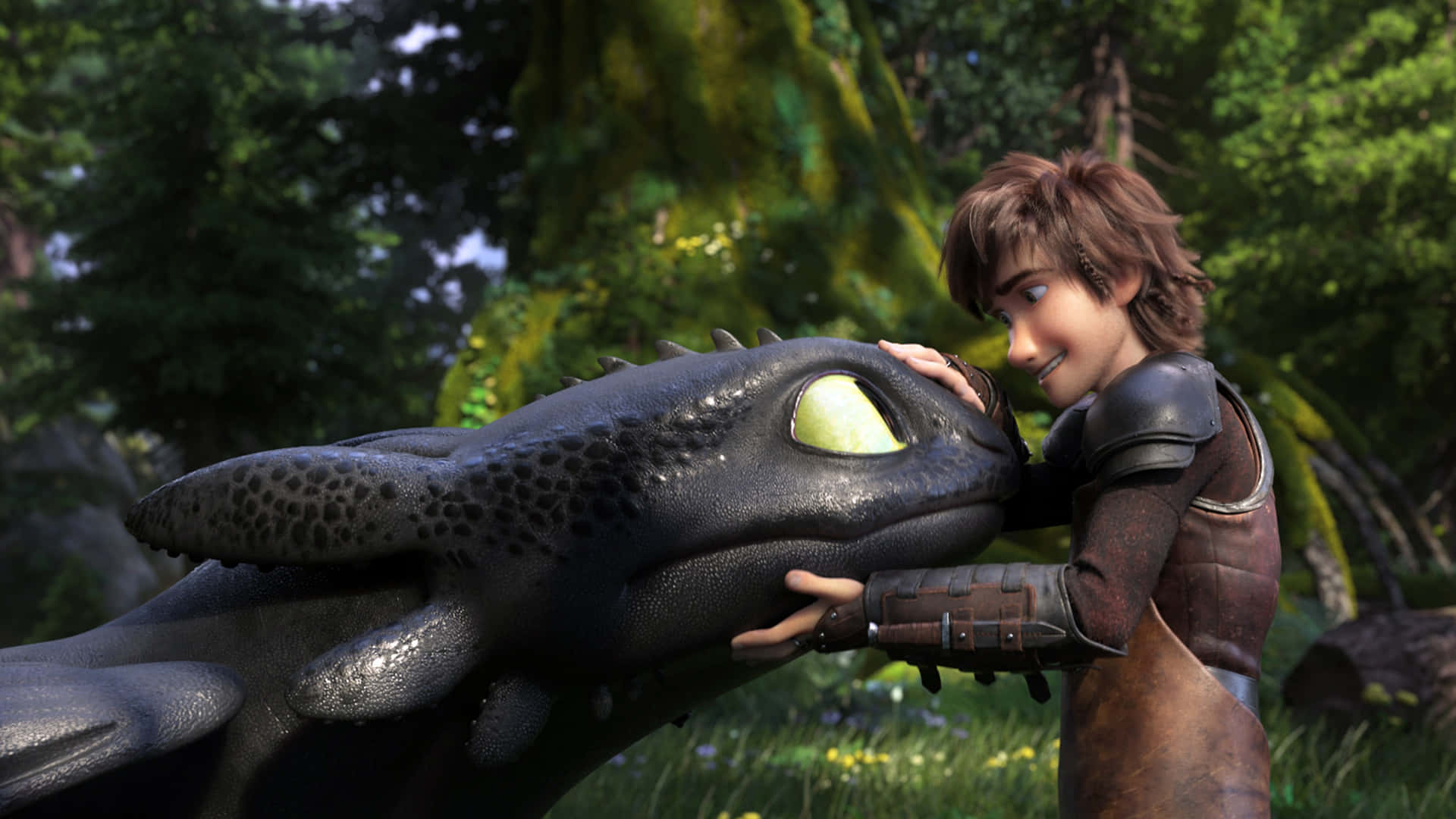 Hiccup Petting Toothless How To Train Your Dragon The Hidden World Background