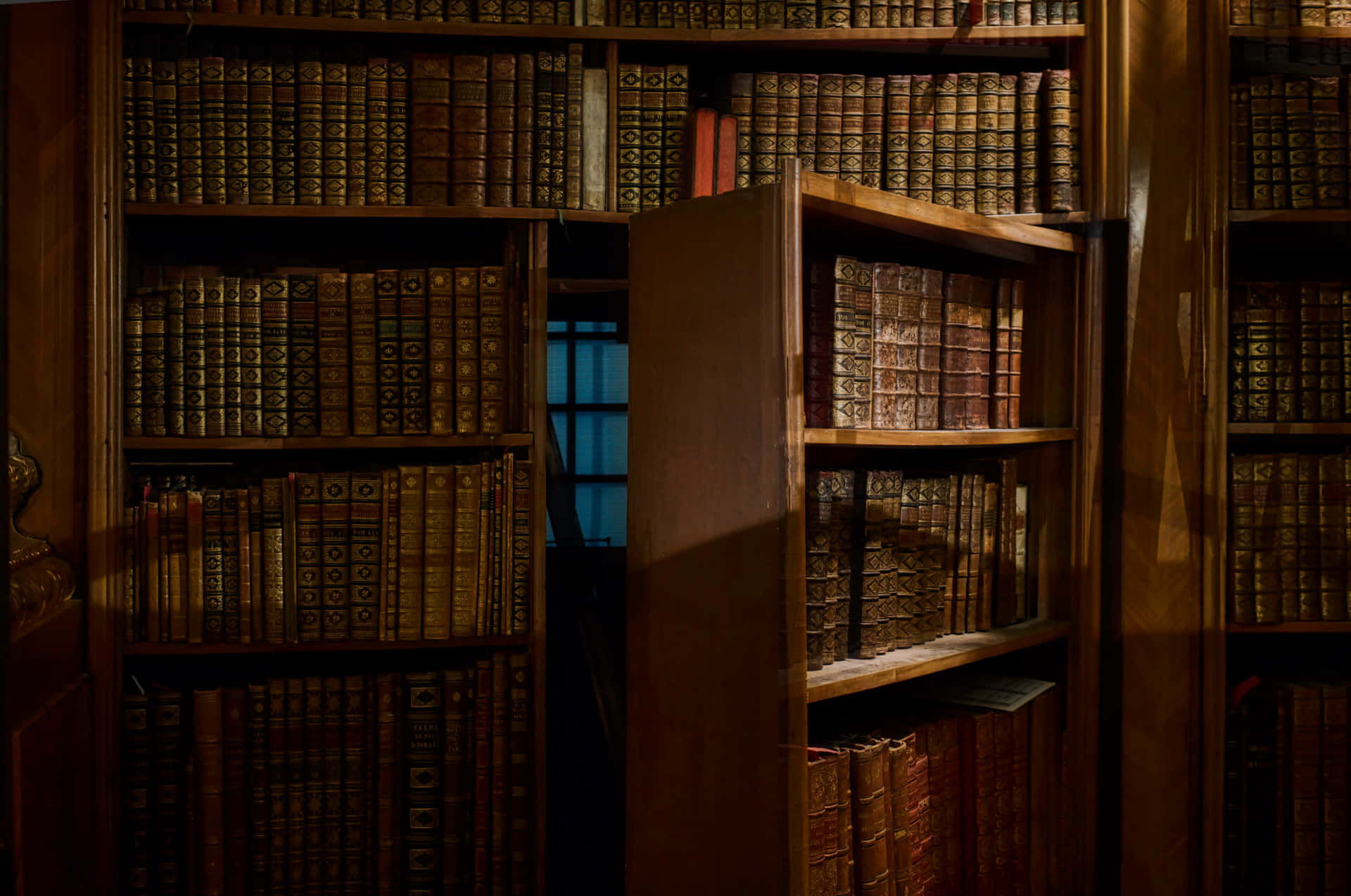 Hidden Door Bookshelf