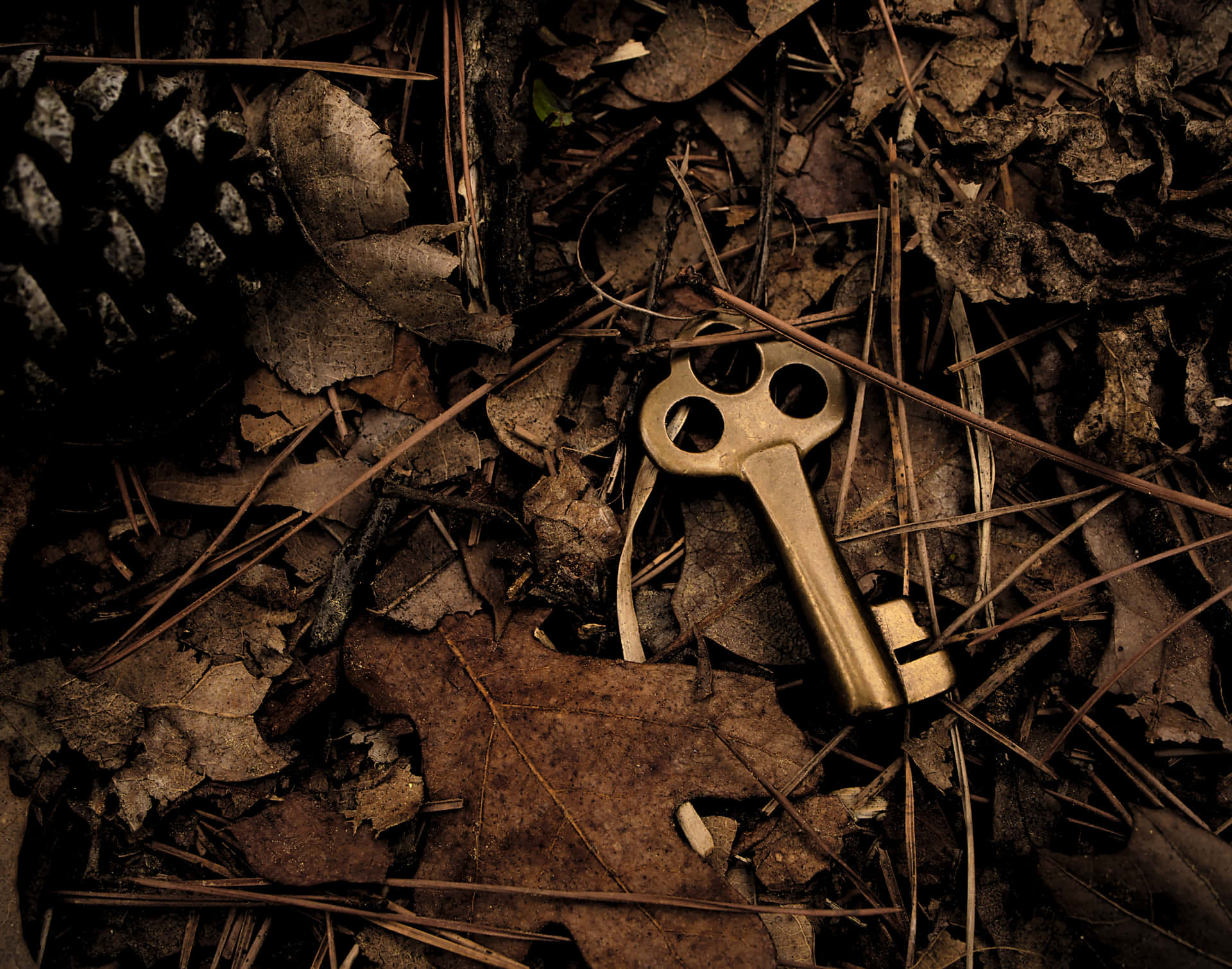 Hidden Old Key