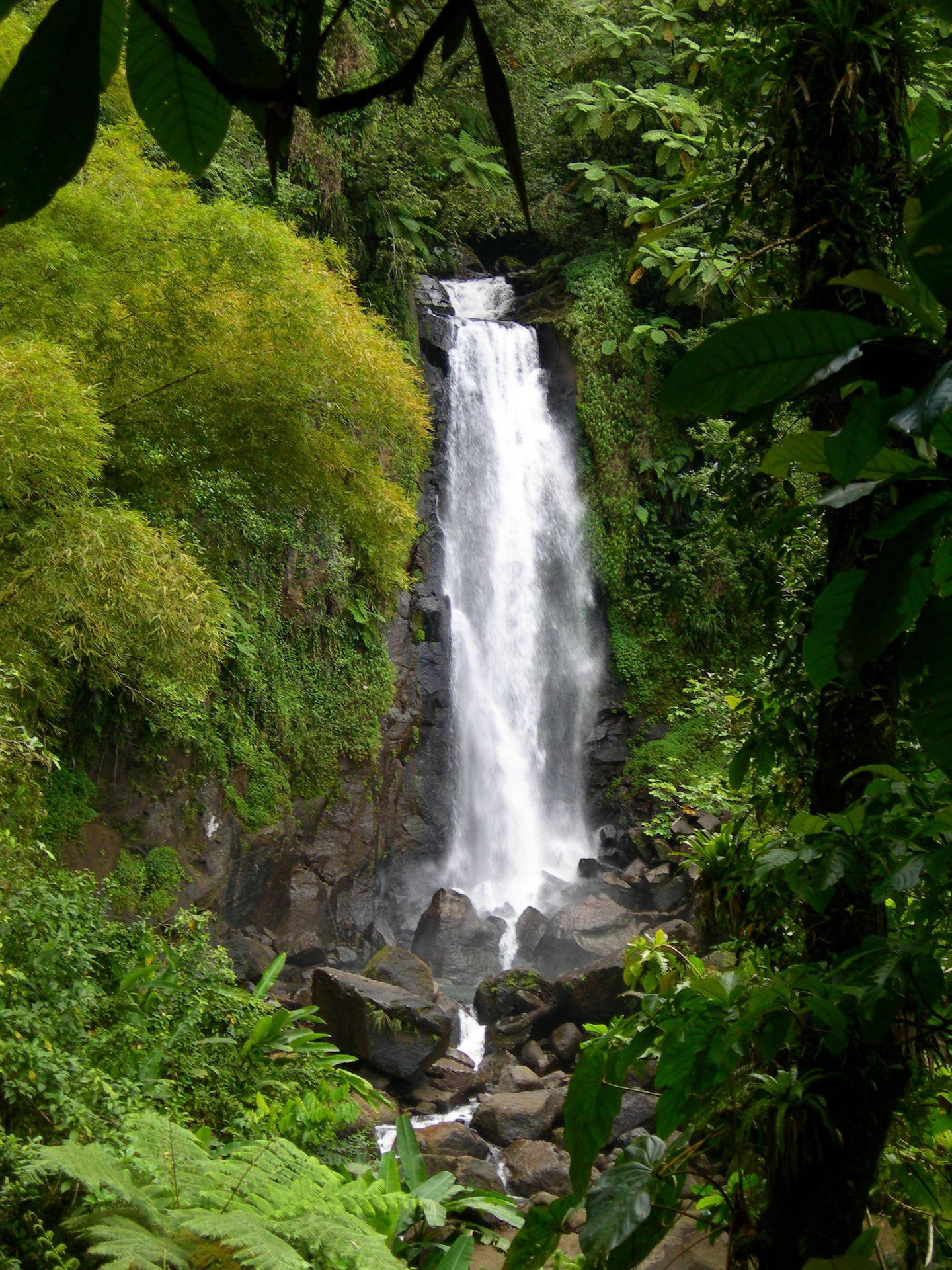 Hidden Rocky Waterfalls In Dominica Background