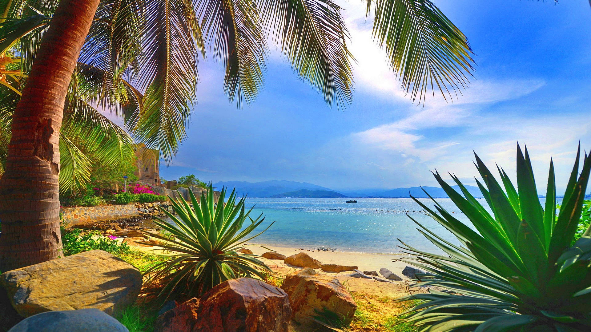 Hidden Tropical Paradise