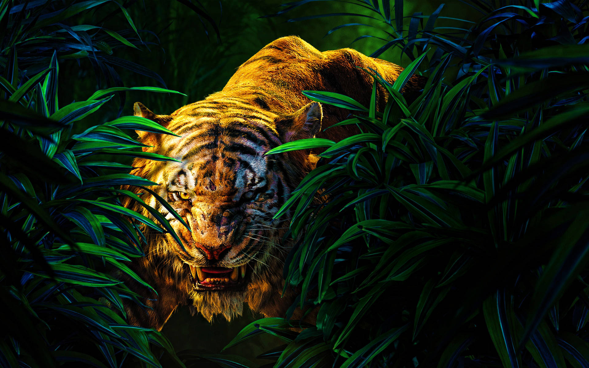 Hiding Angry Tiger