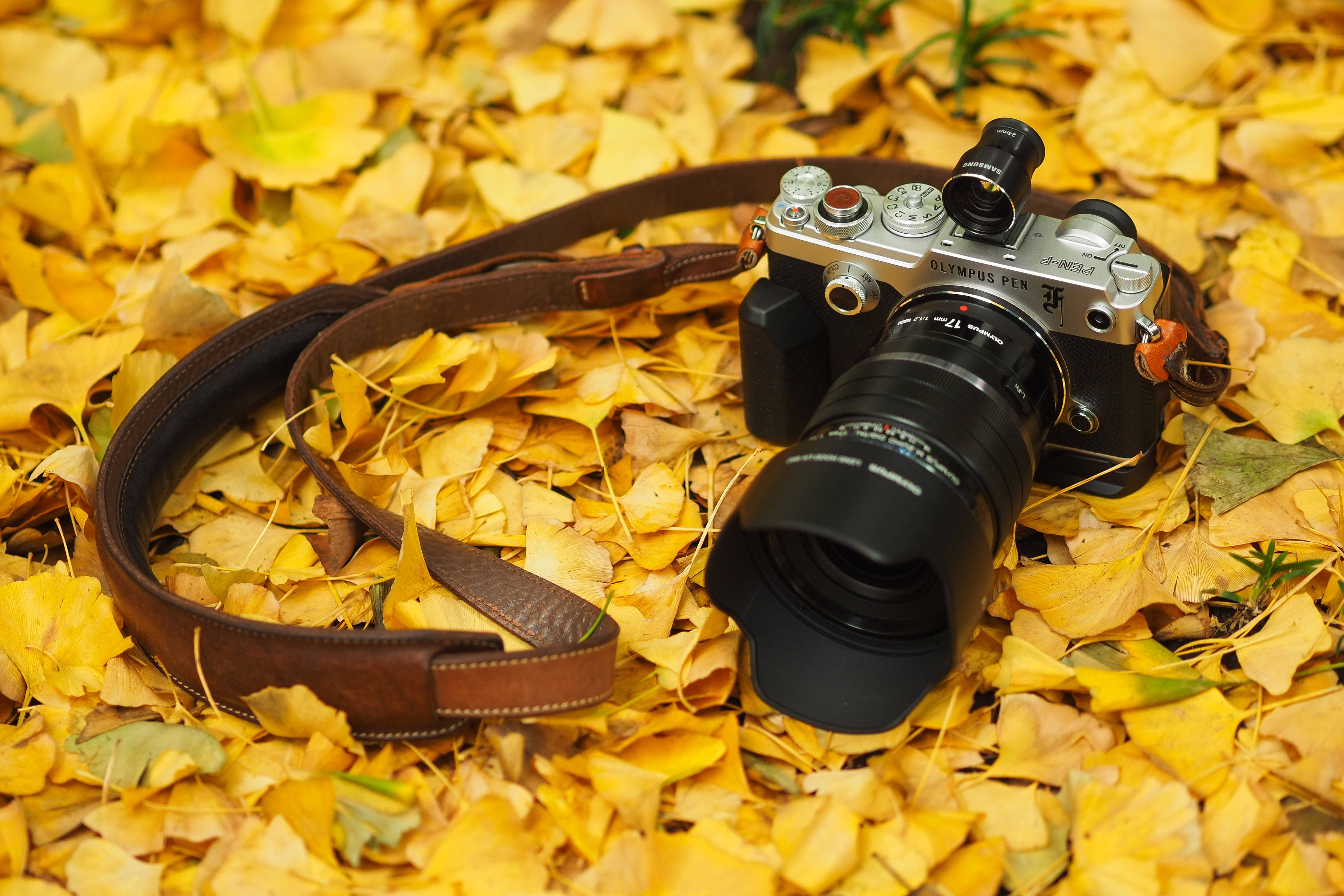 High Definition Camera On Autumnal Leaves Background