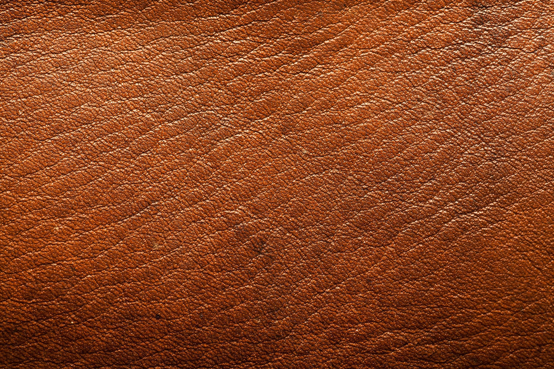 High Quality Leather Perfect For Crafting Background