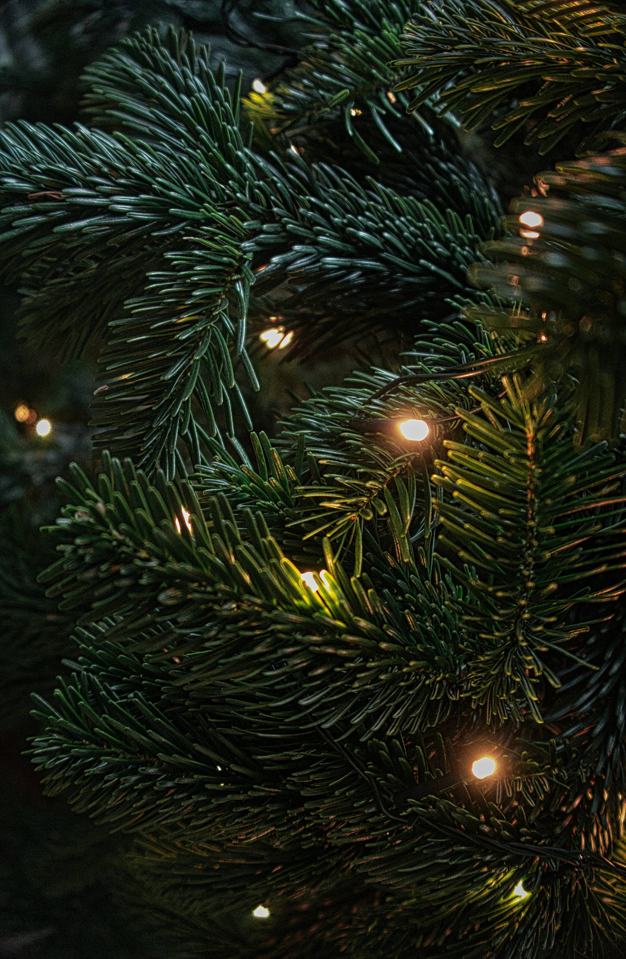 High Resolution Christmas Lights Background