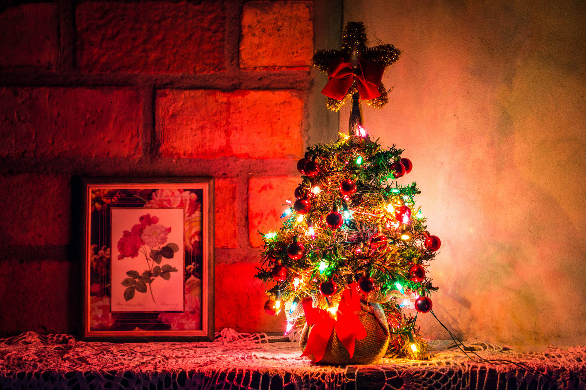 High Resolution Christmas Mini Tree Background