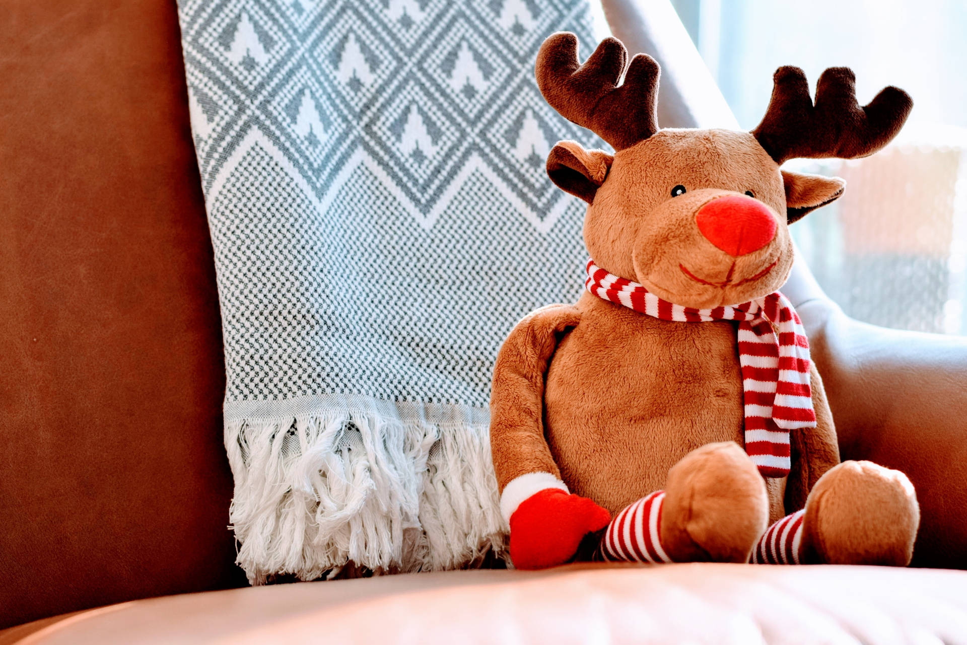 High Resolution Christmas Stuffed Moose Background