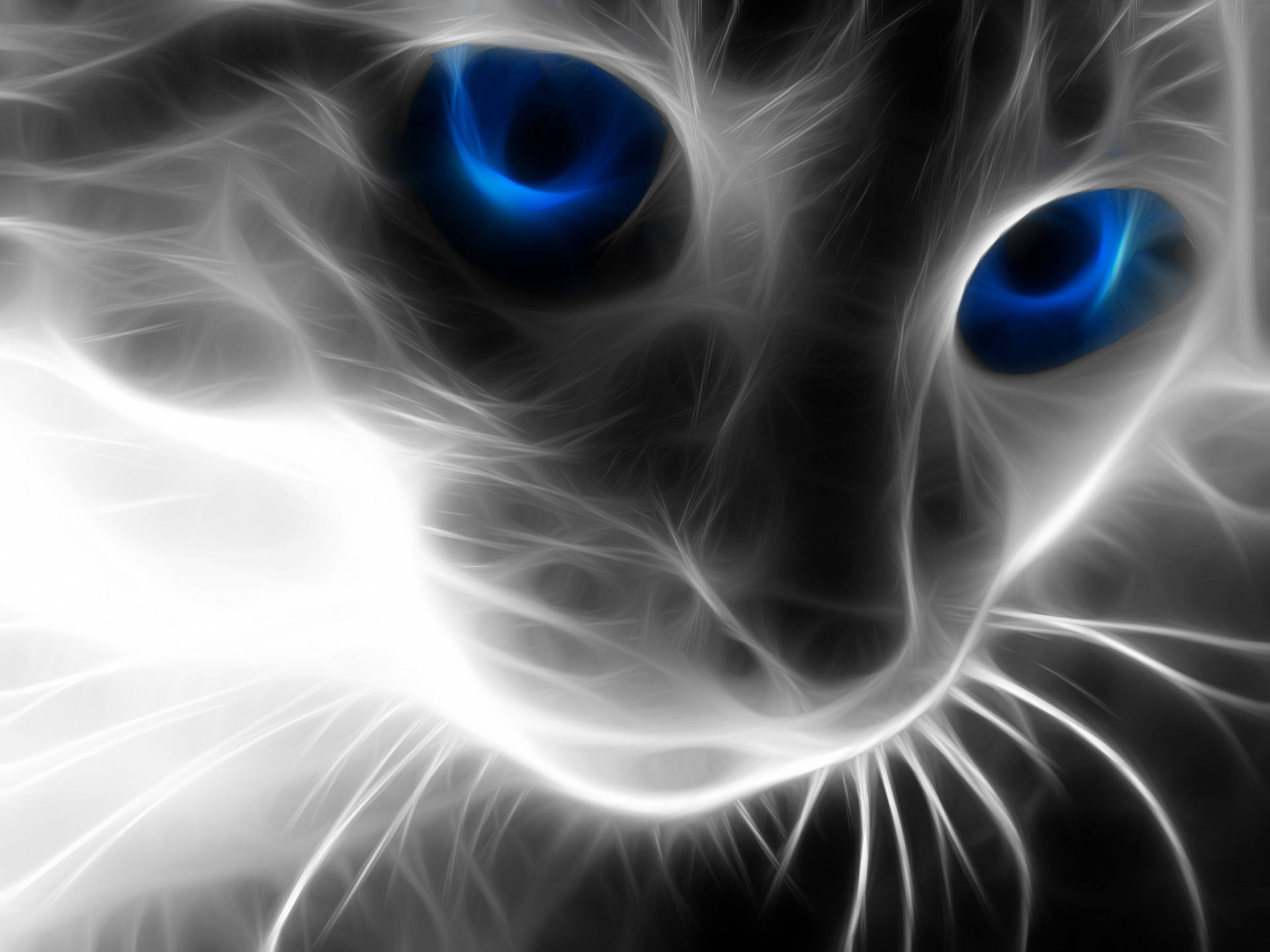High Resolution Desktop Cat Digital Art Background