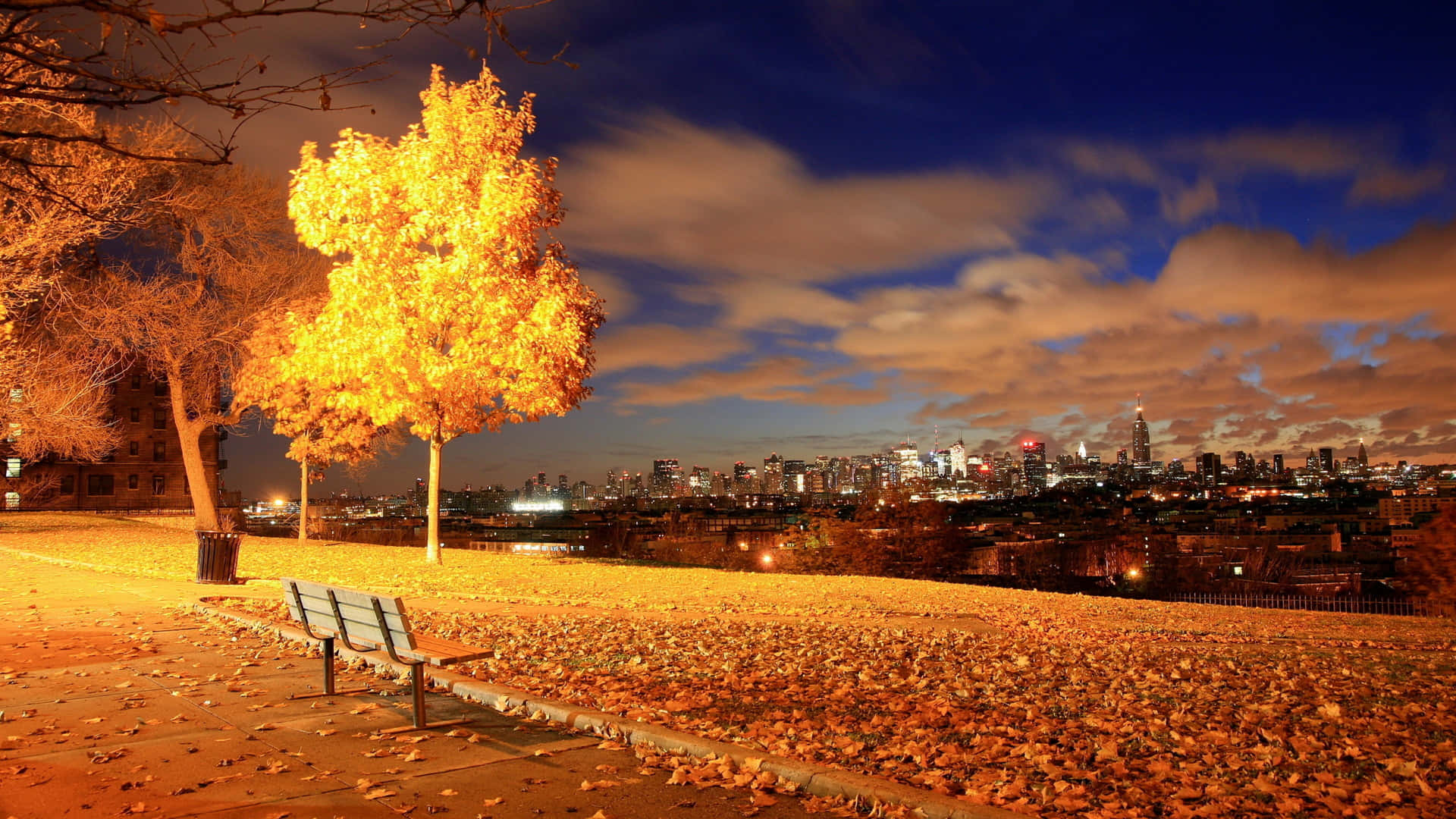 High Resolution Fall City Lake At Night Background