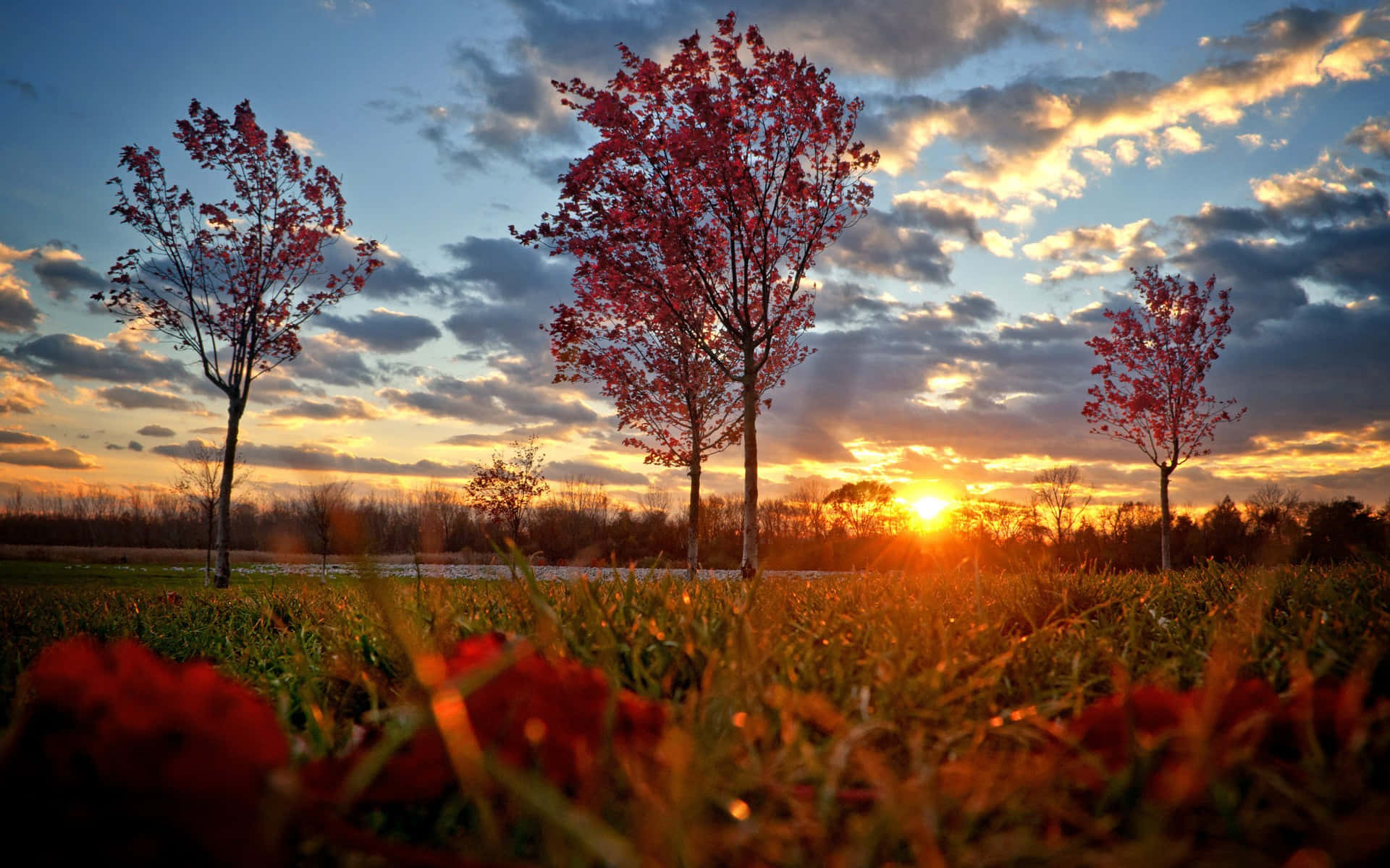 High Resolution Fall Cloudy Sky Morning