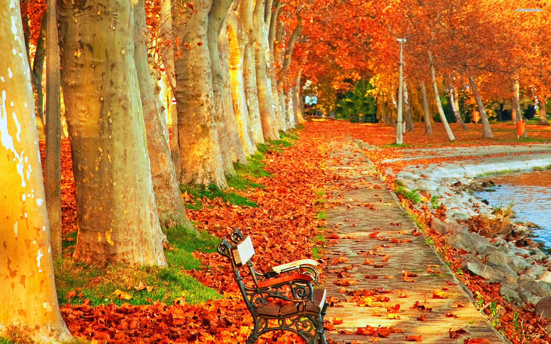 High Resolution Fall Lake And Leaves Background