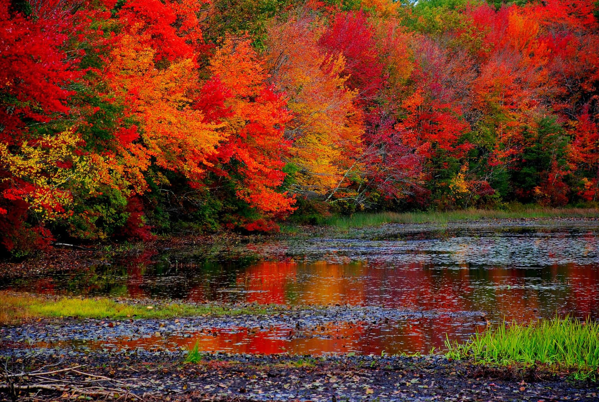 High Resolution Fall Mount Shasta California