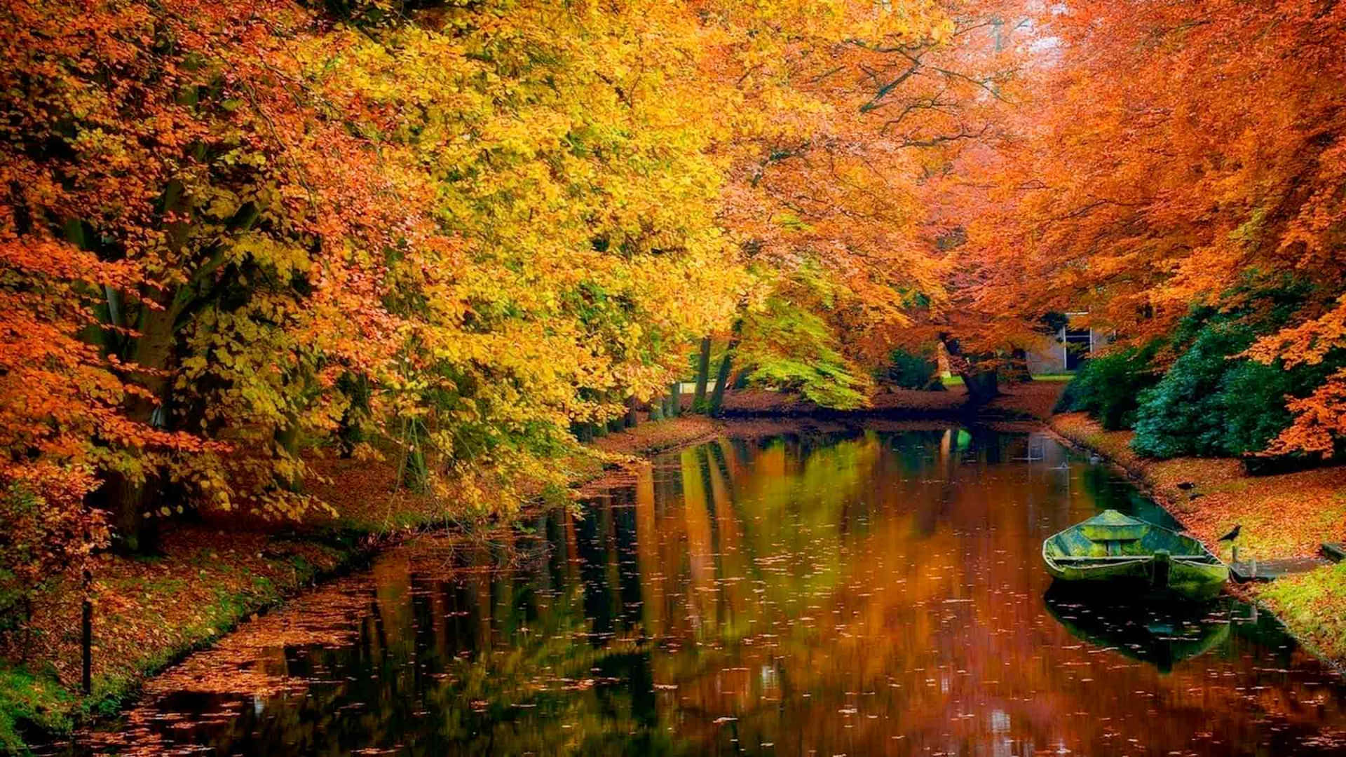 High Resolution Fall Tranquil Lake And Trees