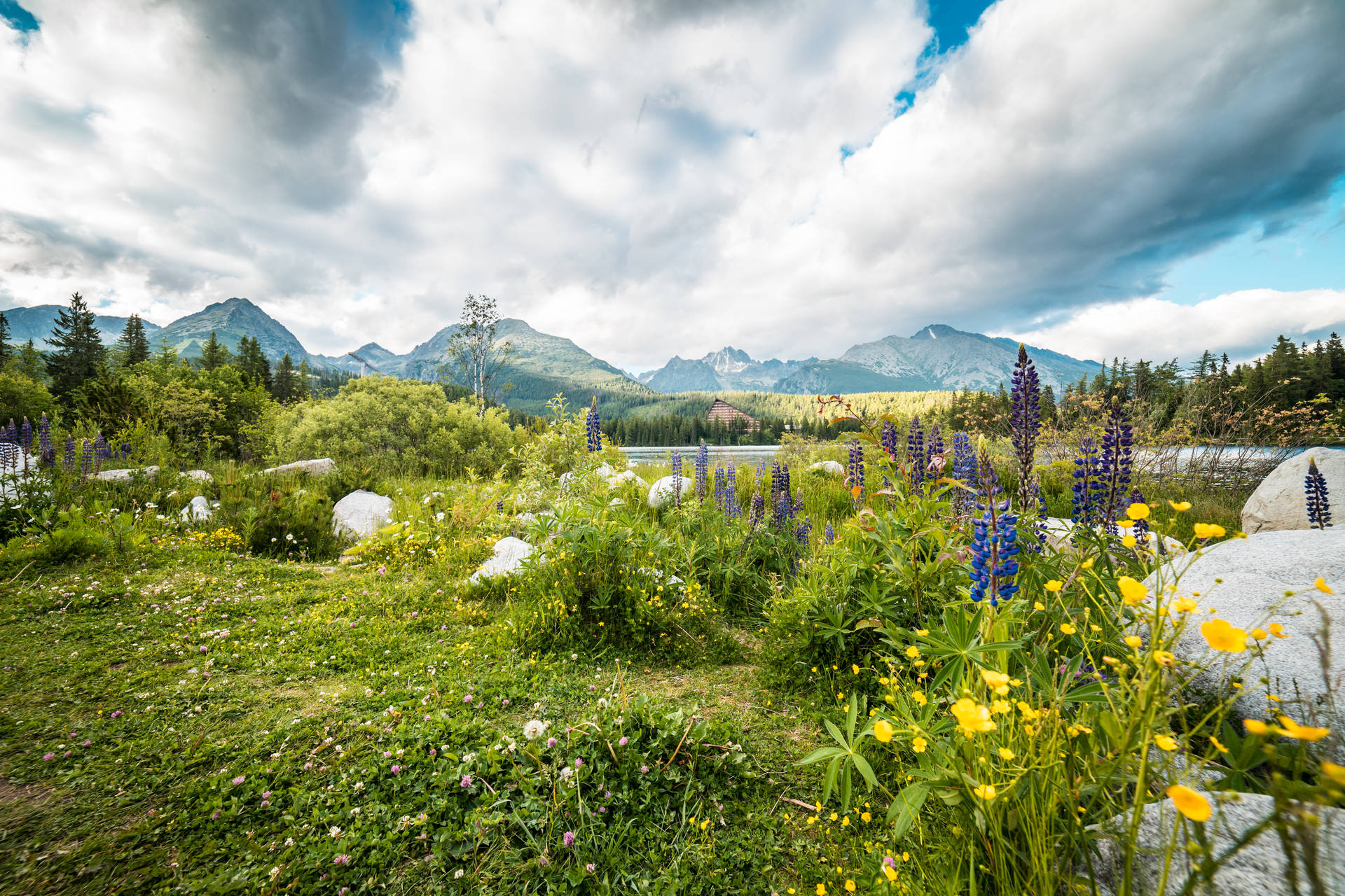 High Tatra Mountains Most Beautiful Nature Background