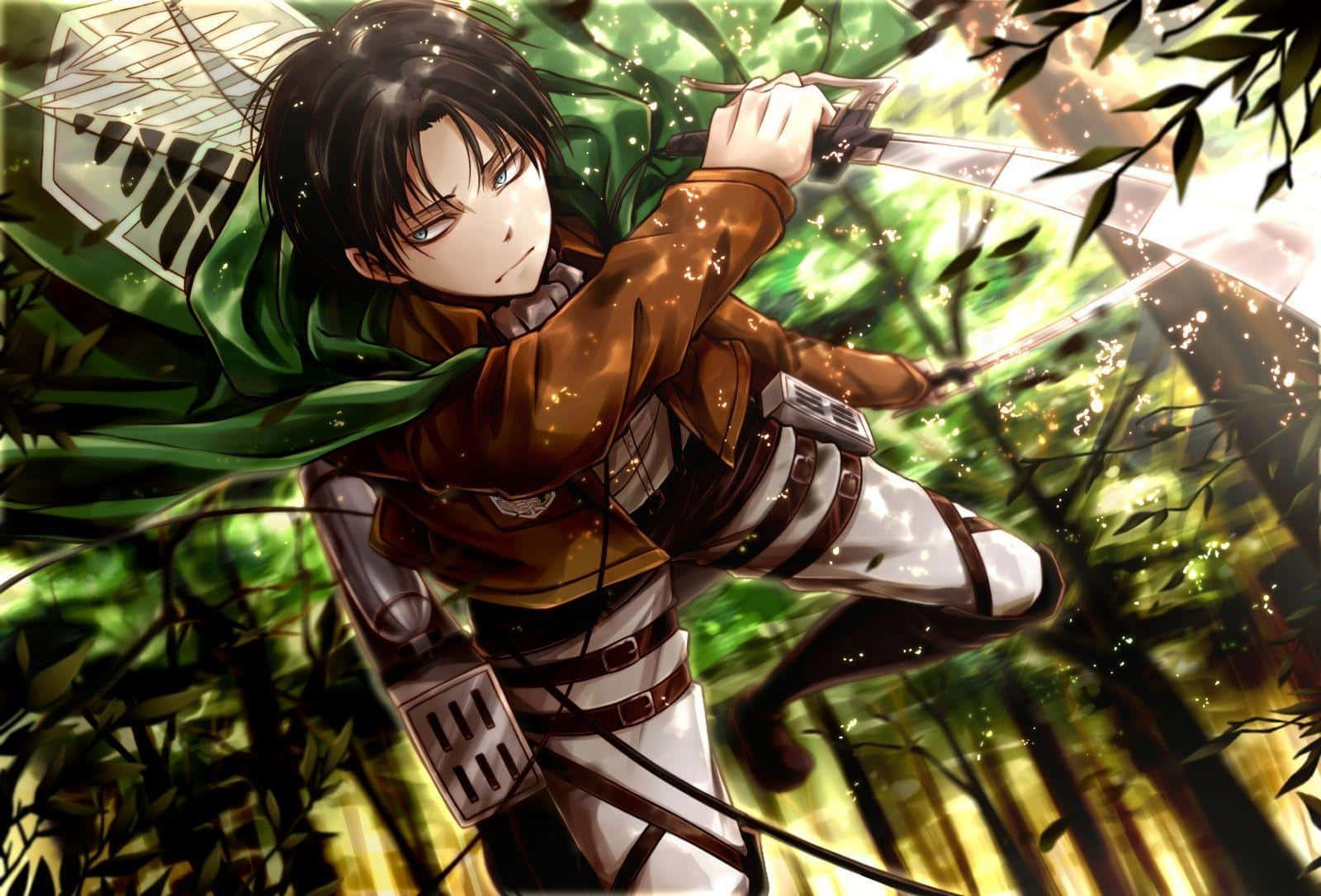 Highly Detailed Close-up Of Levi Ackerman In Attack On Titans