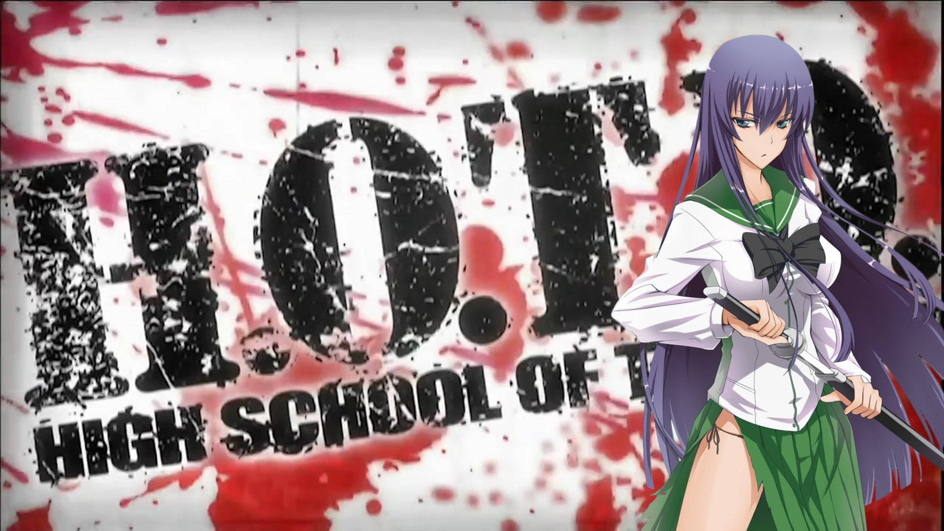 Highschool Of The Dead Bloody Saeko Background