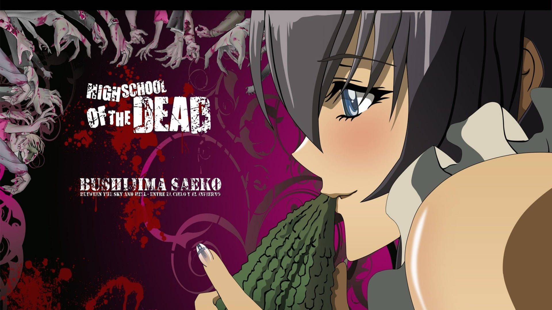 Highschool Of The Dead Busujima Saeko Background