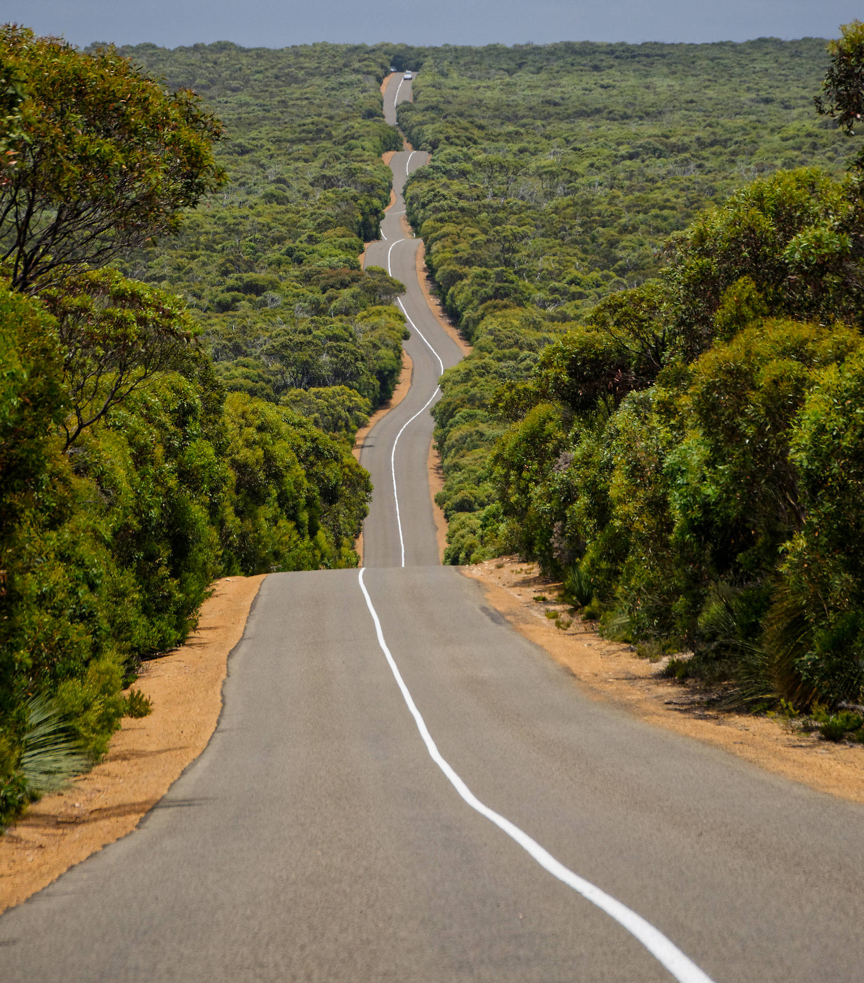 Highway 1 Of Australia Background