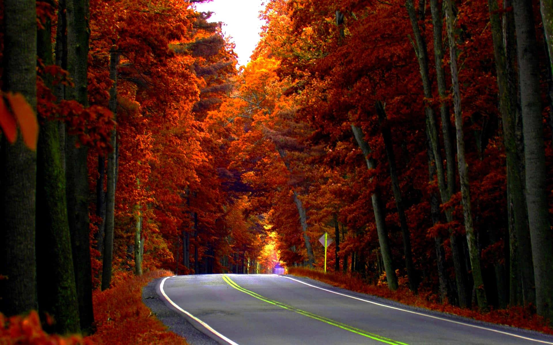 Highway In Autumn Season Background