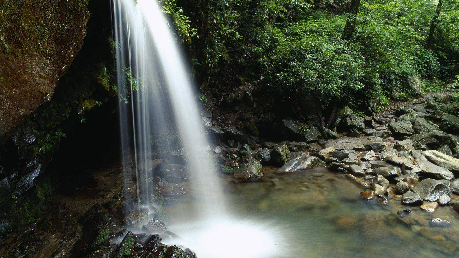 Hiking In The Great Smoky Mountains Background