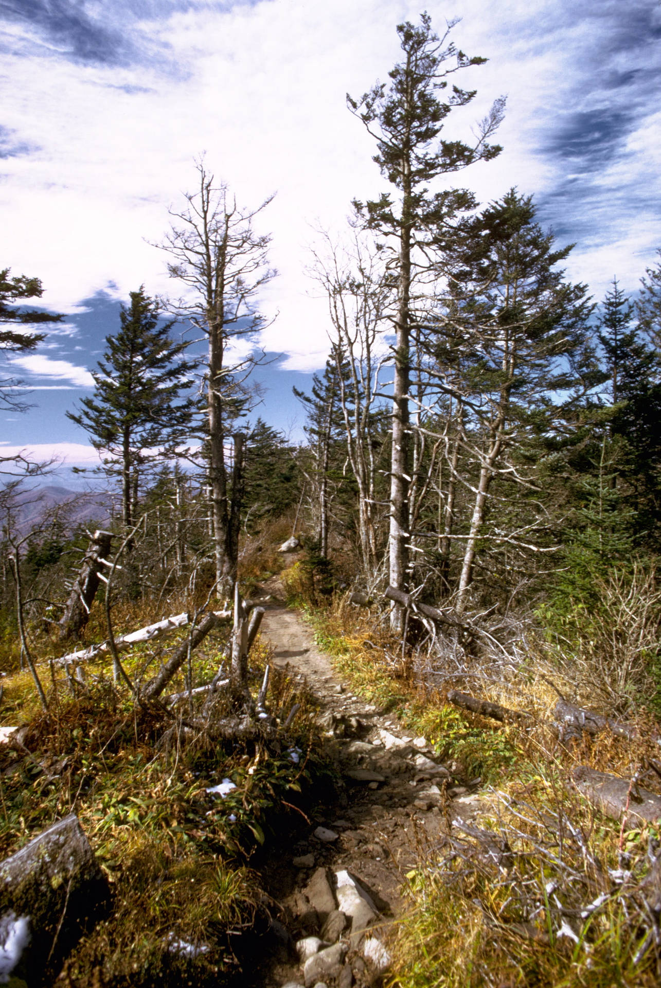 Hiking Path On Smoky Mountains Background