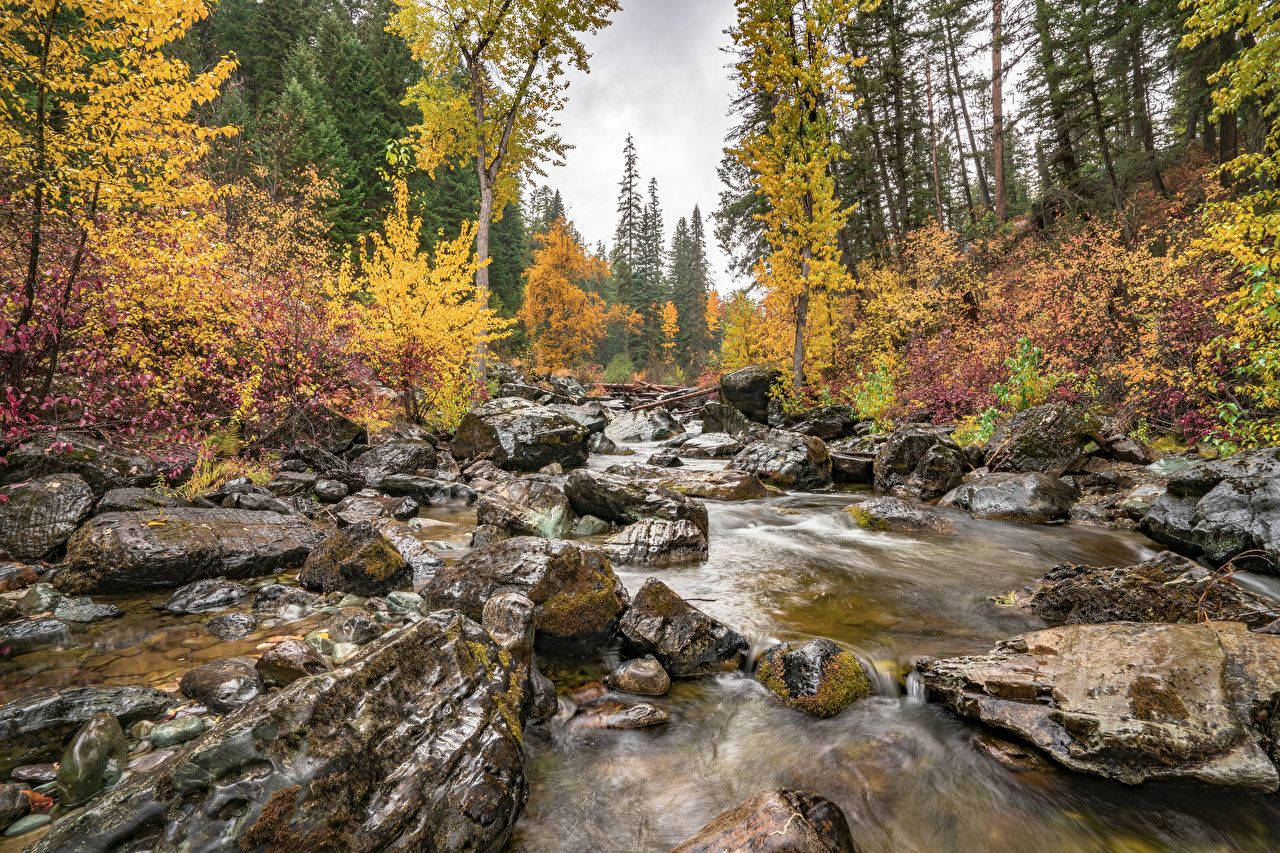 Hiking Trail Montana Background