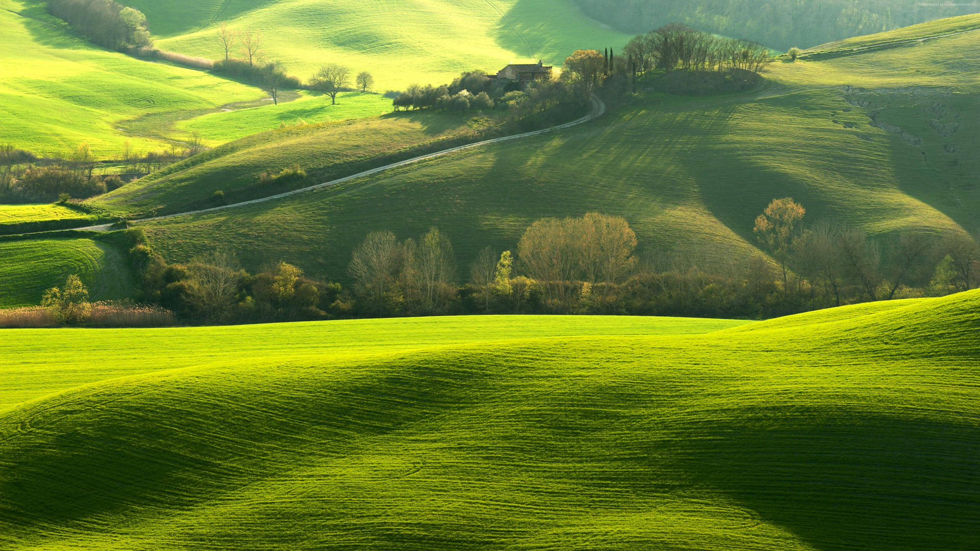 Hilly Landscape Of Tuscany Italy Background