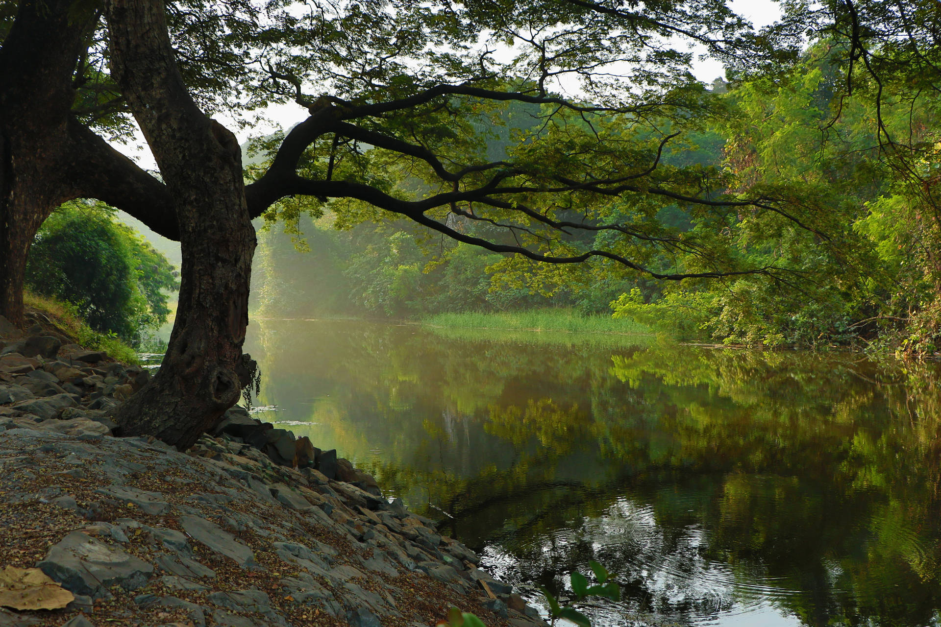 Hilly Riverside In The Daytime Background