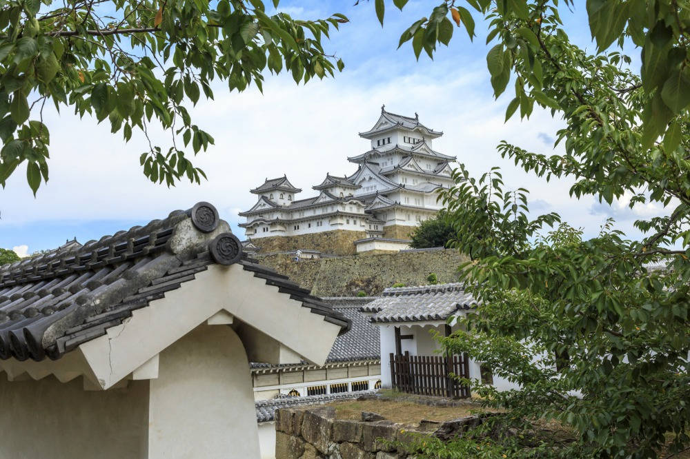 Himeji Castle And Tree Leaves Background