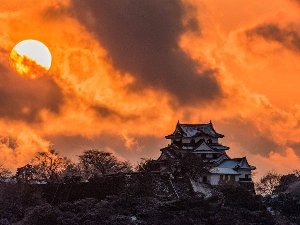 Himeji Castle At Dusk