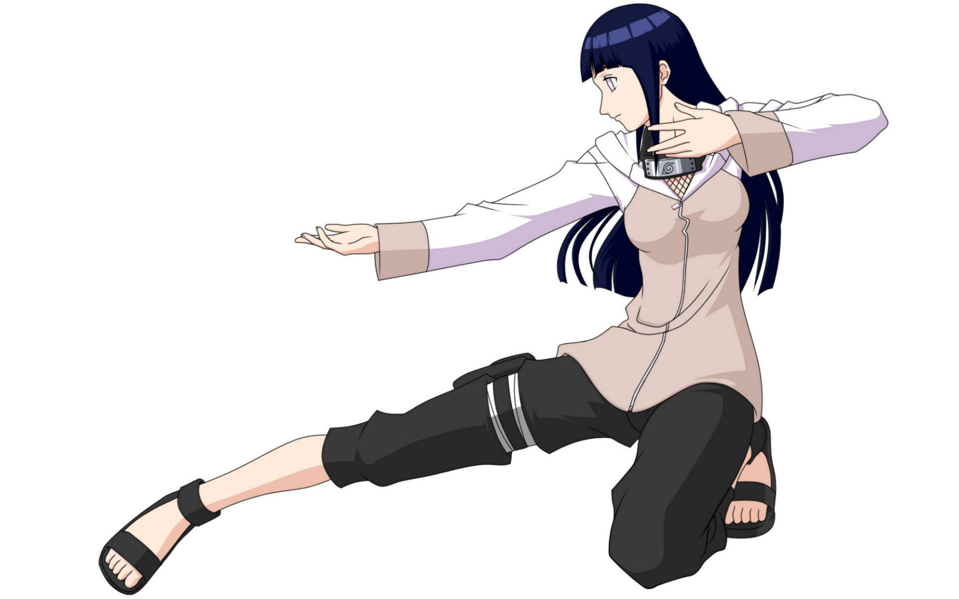 Hinata Hyuga Fighting Pose Background