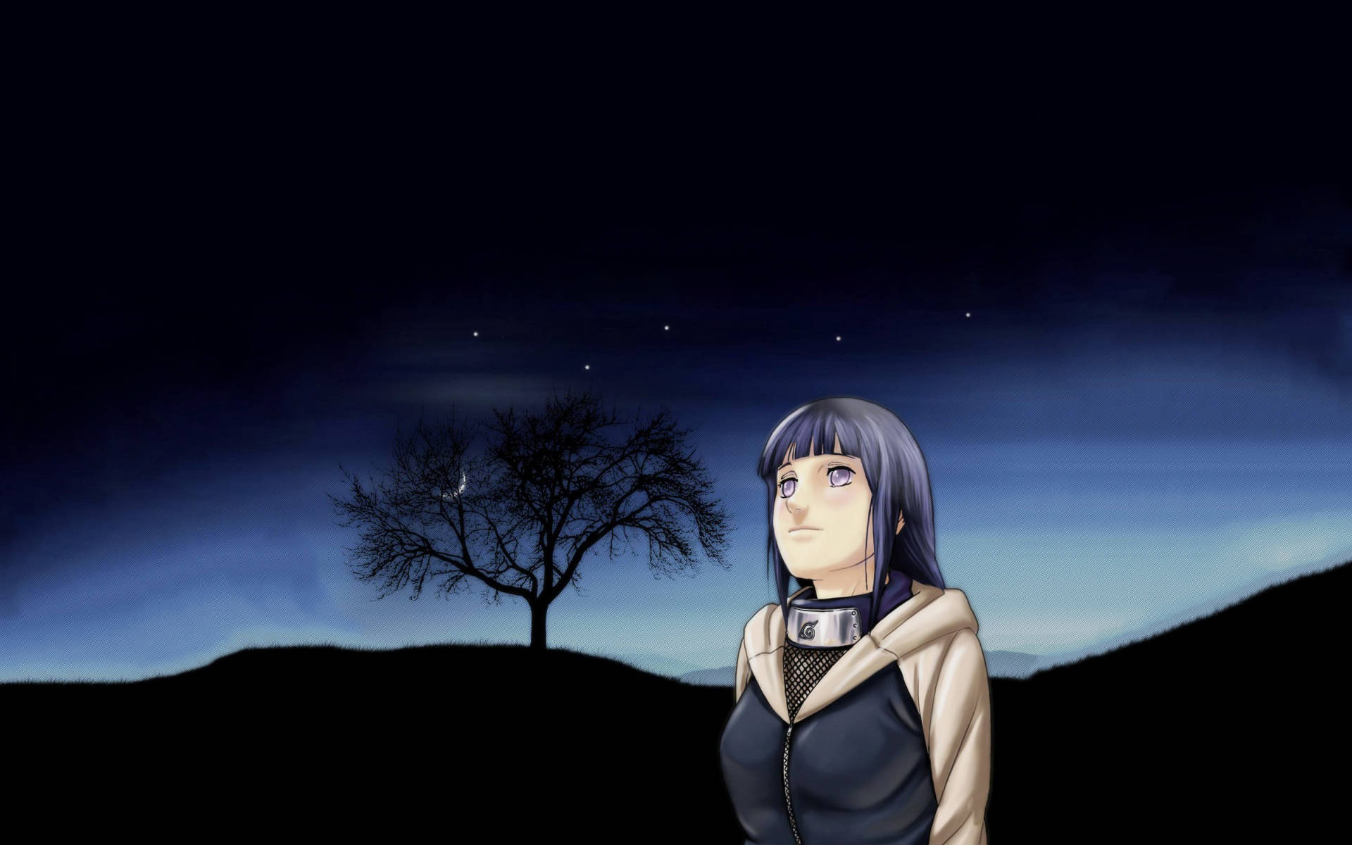 Hinata Hyuga Night Sky Background