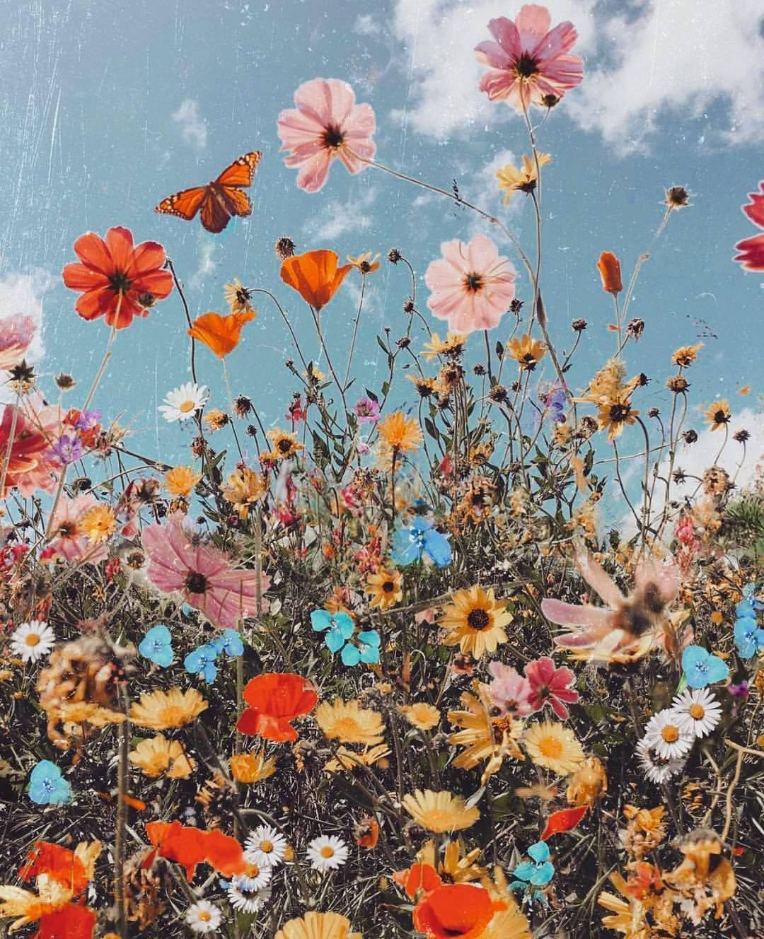 Hippie Aesthetic Vsco Flowers In Blue Sky Background