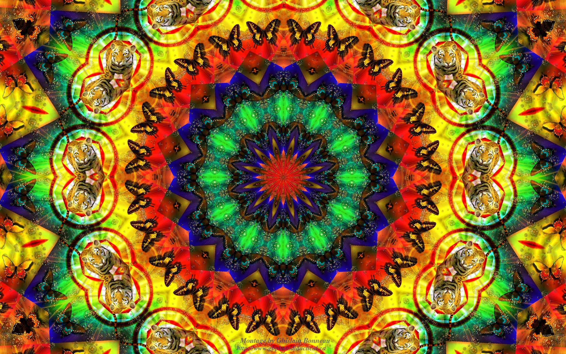Hippie Kaleidoscope Design Tiger And Butterfly Background