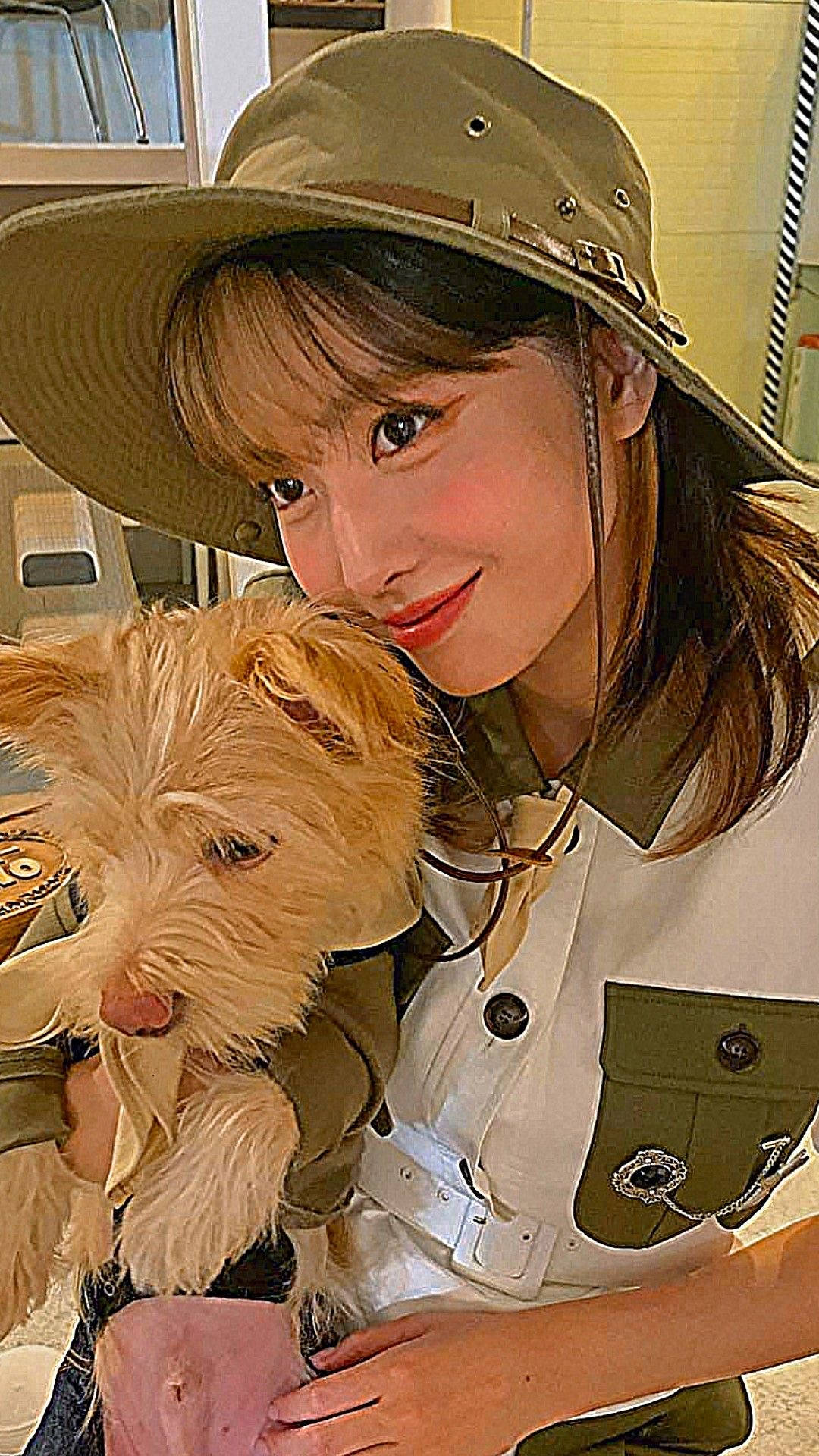 Hirai Momo And Dog Boo Background