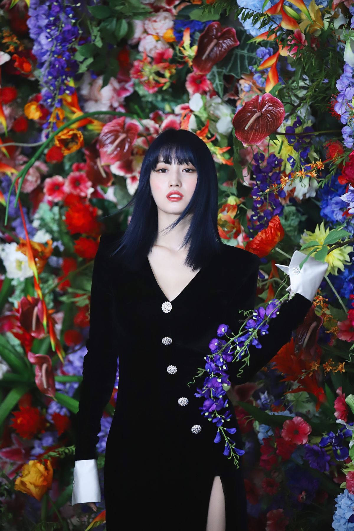 Hirai Momo With Floral Background Background