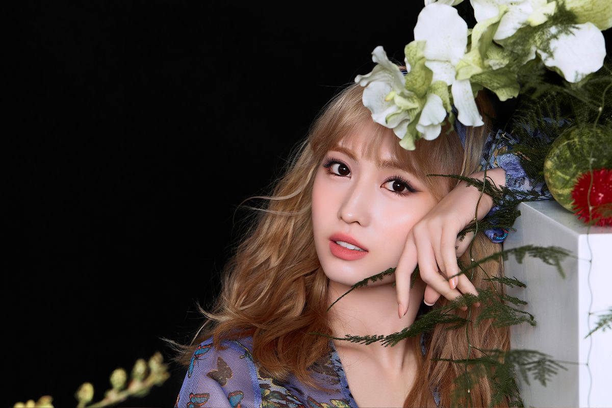 Hirai Momo With Flowers Background